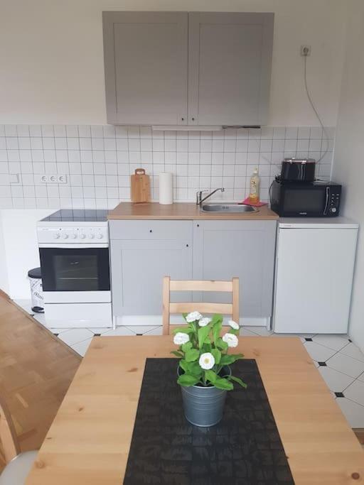 Studio In Dresden Neustadt Louisenstrasse מראה חיצוני תמונה